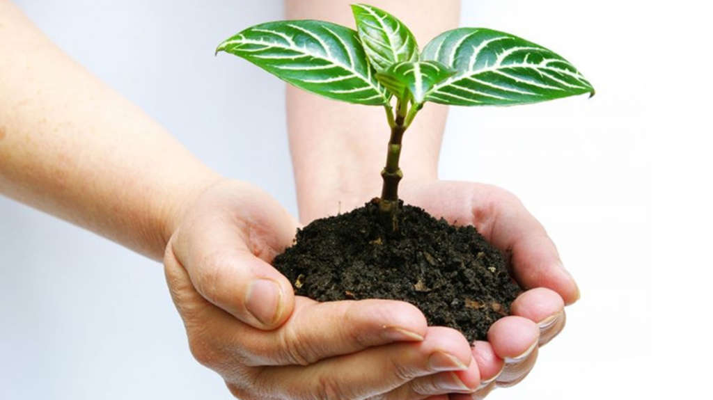 meldebehörde hamburg nord