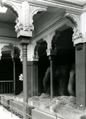 Ehemaliges Elefantenhaus im Zoo in Riehl (© Stadtkonservator/in, Amt für Denkmalschutz und Denkmalpflege)