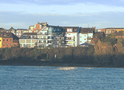 Am Rheinufer in Köln-Porz-Ensen (&copy; Günther Ventur)