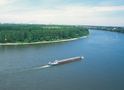 Weißer Rheinbogen (© Günther Ventur)