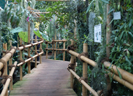 Schaugewächshaus im Botanischen Garten (© Stadt Köln/Dr. Stephan Anhalt)