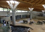 Elefantenhaus im Kölner Zoo (© Zoologischer Garten Köln)