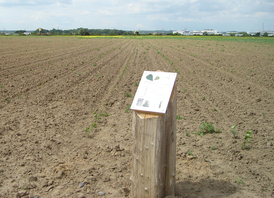 Waldlabor (© Stadt Köln)