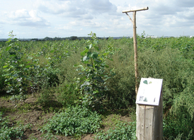 Waldlabor (© Stadt Köln)