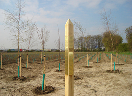 Waldlabor (© Stadt Köln)