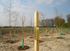 Waldlabor (© Stadt Köln)