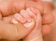 Babyhände (© Fotolia)