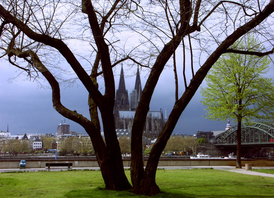 Blick durch Baumäste von Deutz aus auf den Dom (&copy; PantherMedia/Jan D.)