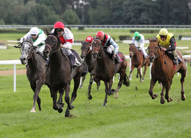 Scalo ( Olivier Peslier ) (&copy; Klaus-Joerg Tuchel)