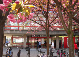 Kirschblüte vor der Zentralbibliothek (© Stadtbibliothek Köln/Babett Hartmann)