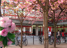 (© Stadtbibliothek Köln/Babett Hartmann)