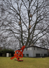 Tamara Grcic, Vögel im Baum, in Kombination mit Parkansicht, 2013 (&copy; Stiftung Skulpturenpark Köln, Foto: Tamara Grcic)