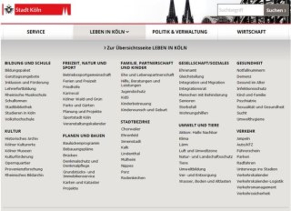 Abbildung vom ausgeklapptem Megamenü mit allen Themen