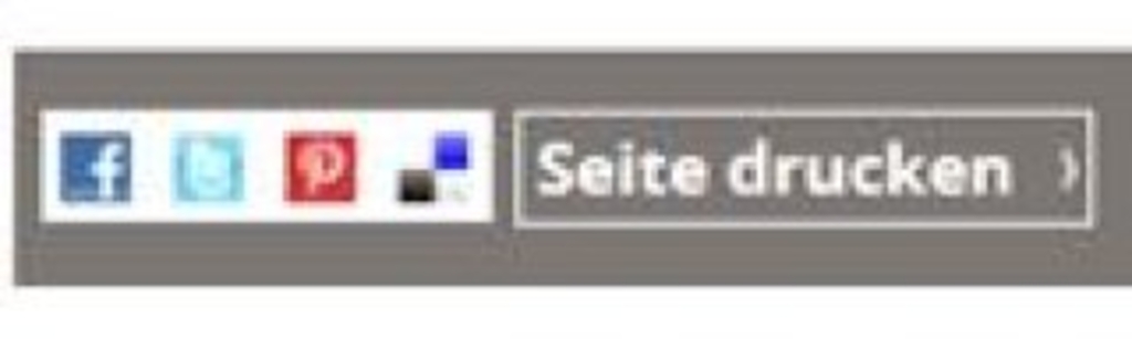 Abbildung der Box Social Media