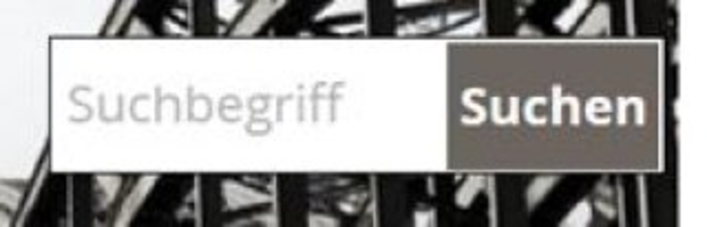 Abbildung der Such-Box