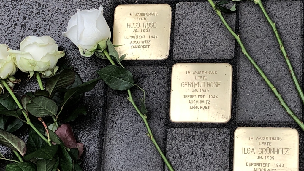 Stolpersteine auf einer Straße, auf der Rosen liegen