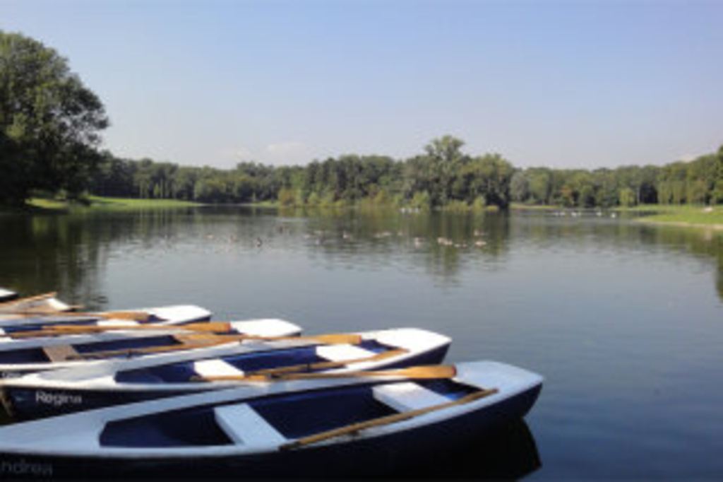 Blick auf den Kalscheurer Weiher. Im Vordergrund liegen einige Tretboote im Wasser., Link auf Kalscheurer Weiher