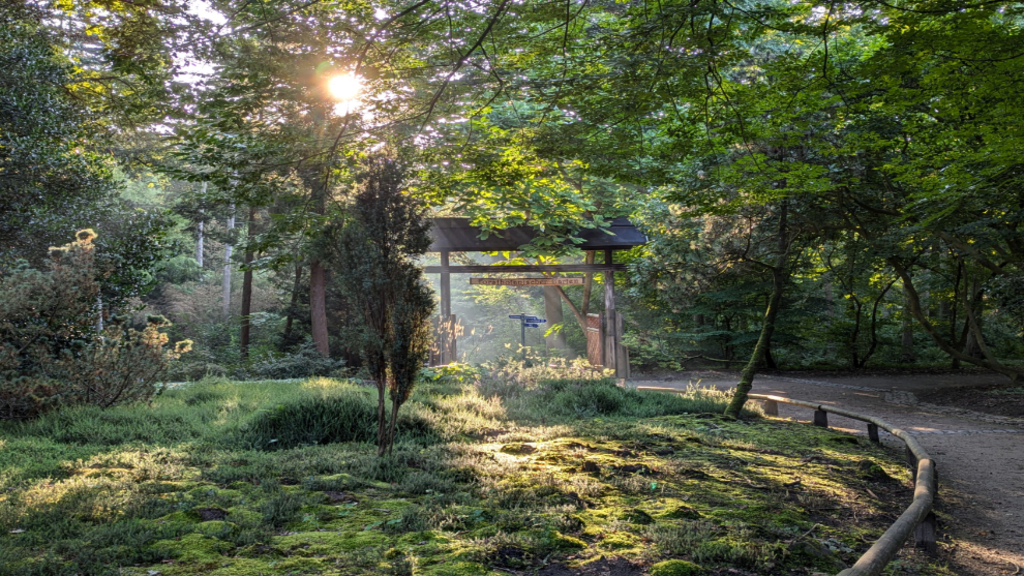 Forstbotanischer Garten