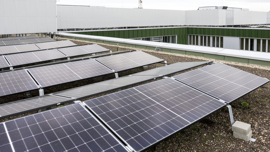 Photovoltaikanlage auf dem Gründach