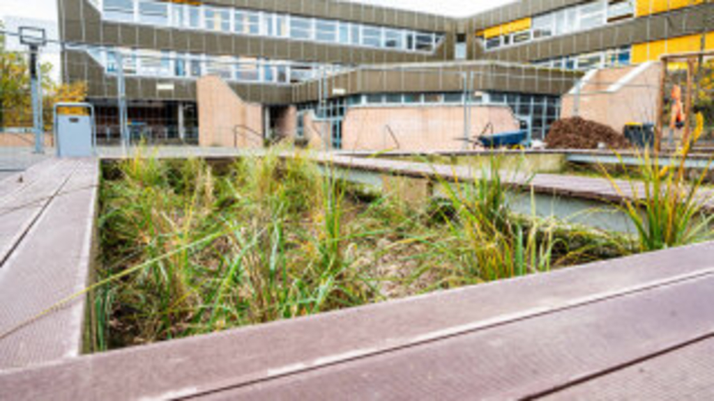 Entsiegelungsfläche auf dem Schulhof des Gymnasiums am Fühlinger Weg in Volkhoven/Weiler. Im Hintergrund ist das Schulgebäude zu sehen., Link auf Neugestaltung einer Schulhoffläche am Heinrich-Mann-Gymnasium