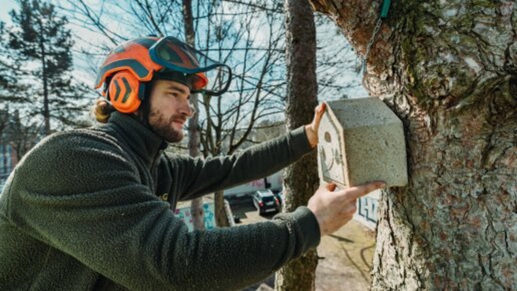 In Nähe der Baustelle, aber außerhalb dieser wird eine Nisthilfe für brütende Vogelarten angebracht, damit die Tiere ungestörte Bereiche finden und aufsuchen können., Link auf Artenschutz vor und nach Baubeginn - Stadt Köln