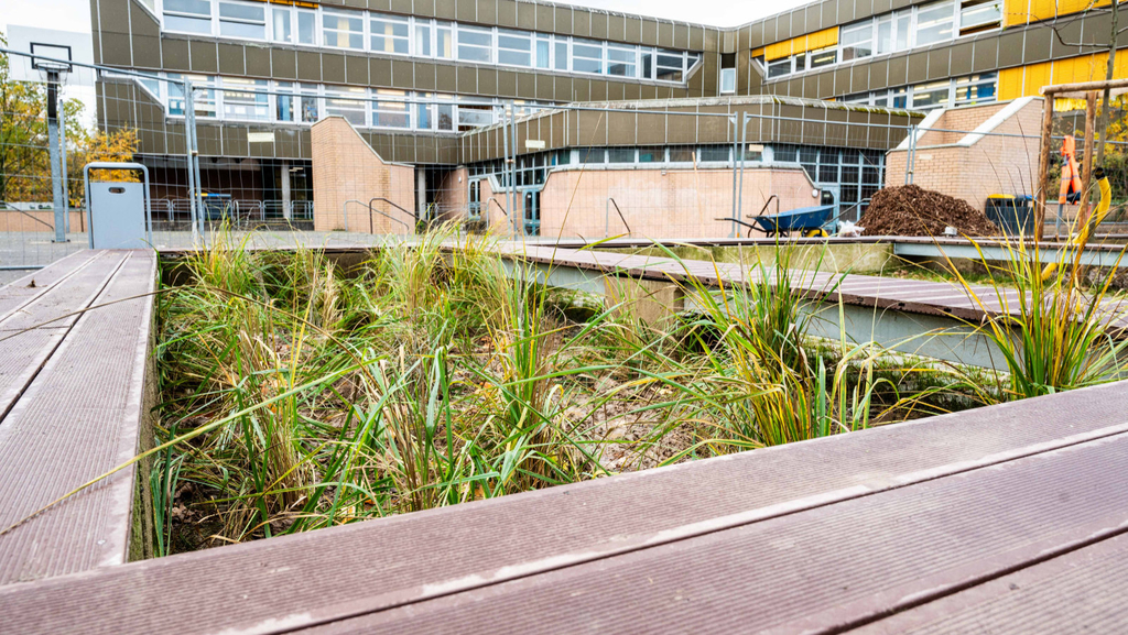 Entsiegelungsfläche auf dem Schulhof des Gymnasiums am Fühlinger Weg in Volkhoven/Weiler. Im Hintergrund ist das Schulgebäude zu sehen.