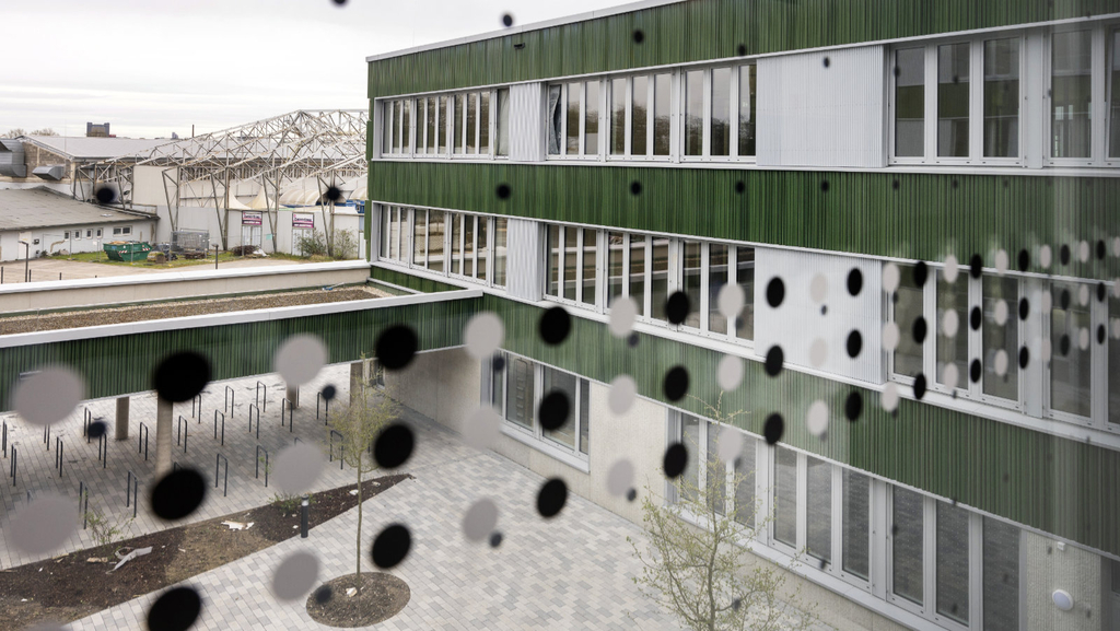 Fensterfront im Flur mit Vogelschutz