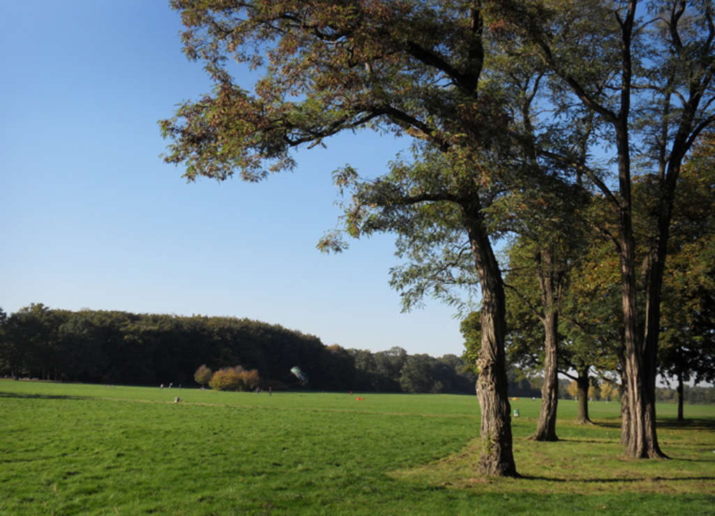 Merheimer Heide in Merheim