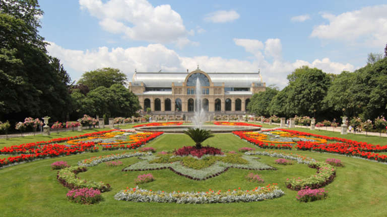 The Flora in Riehl, link to Nippes