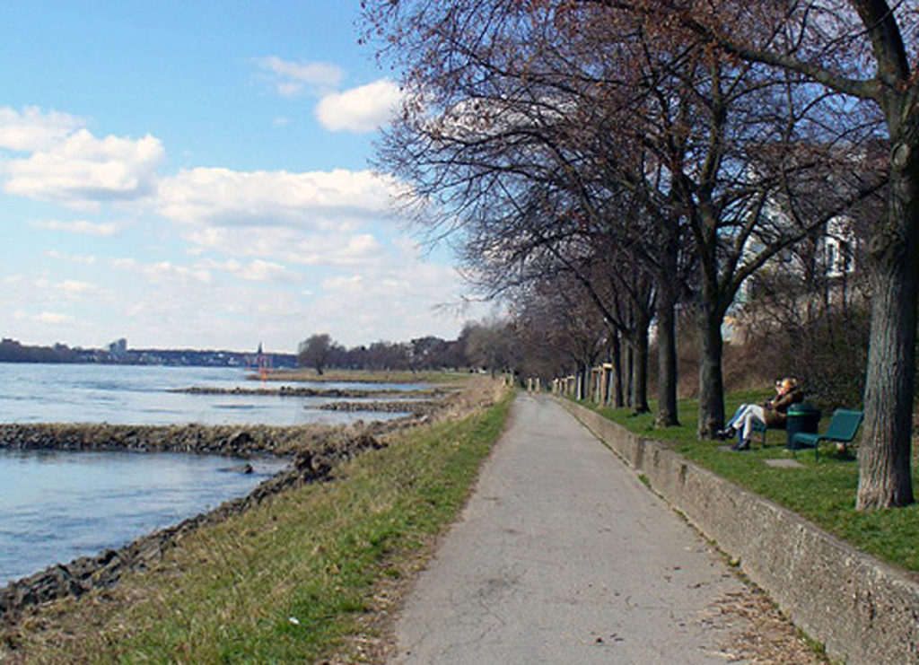 Am Rheinufer in Ensen