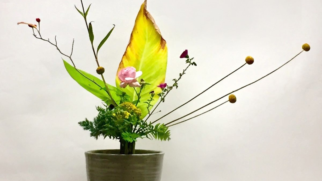 Foto einer Pflanze mit Blüten