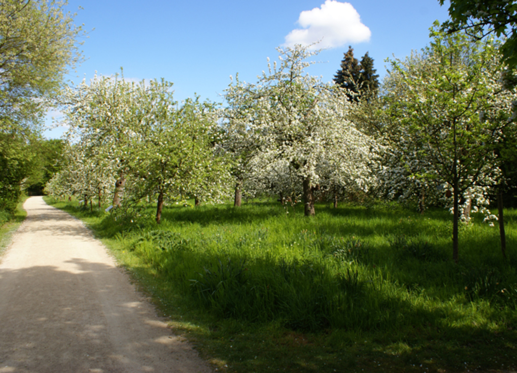 Finkens Garten in Rodenkirchen