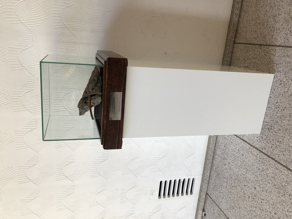 Stein aus Dnipro im Glaskasten