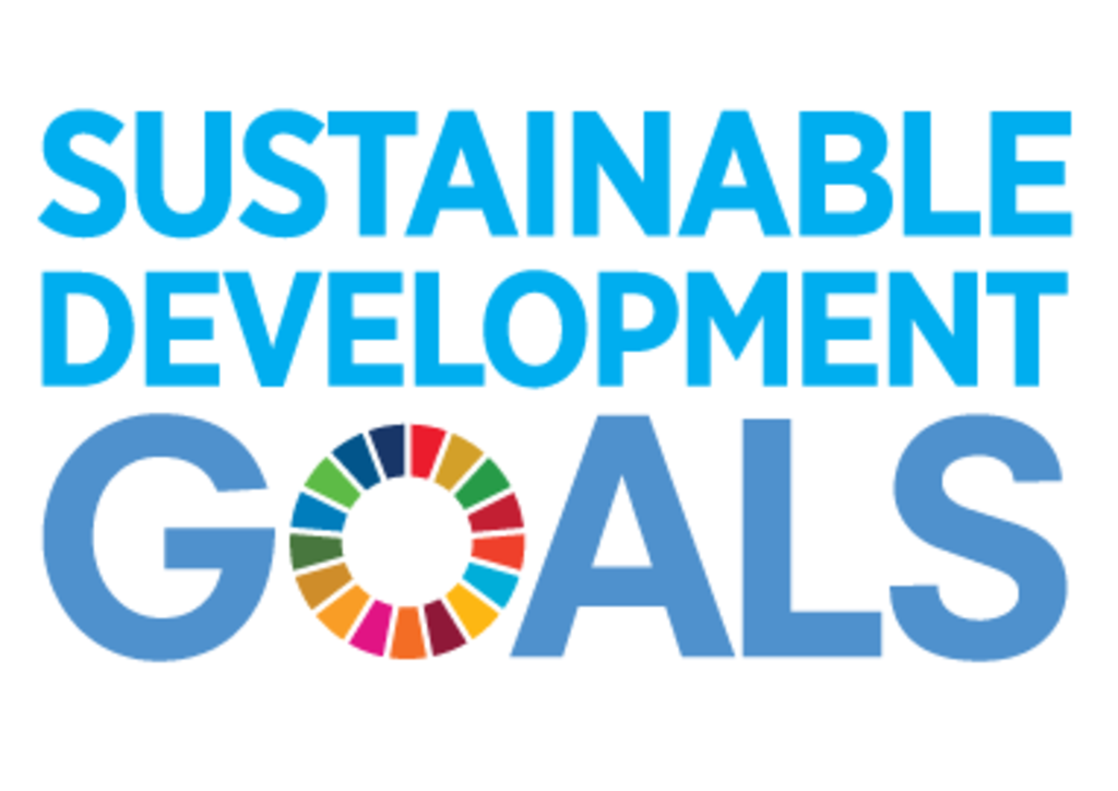 Logo Sustainable Development Goals
