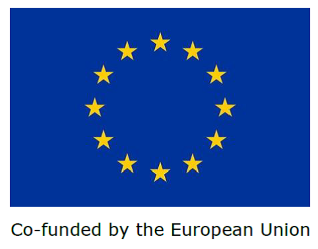 EU-Flagge_Co-funded by the European Union