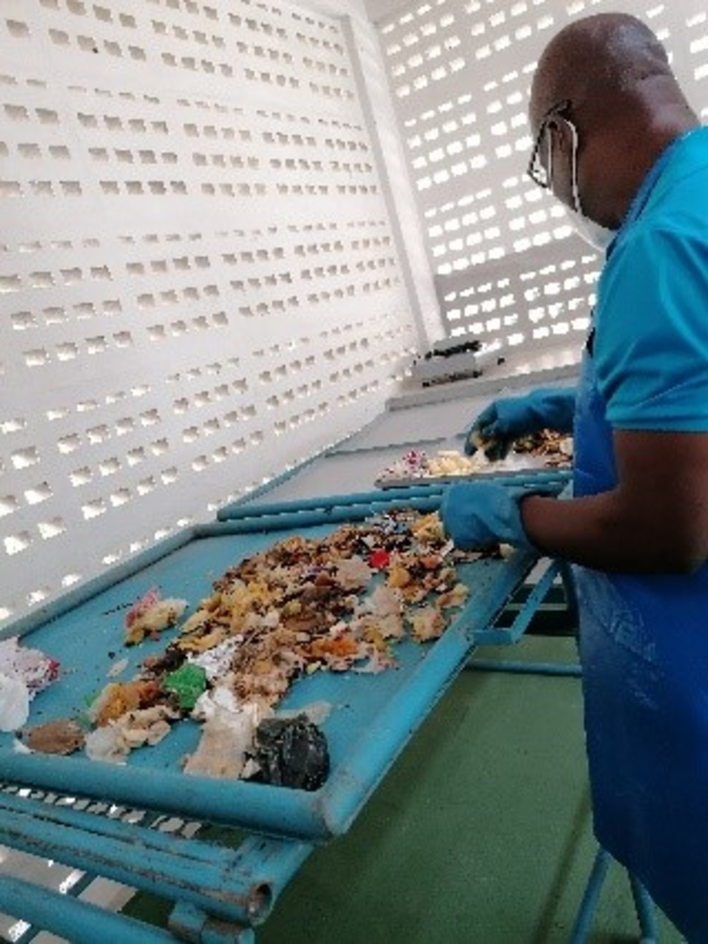 Analyse organischer Abfälle von Schulen 