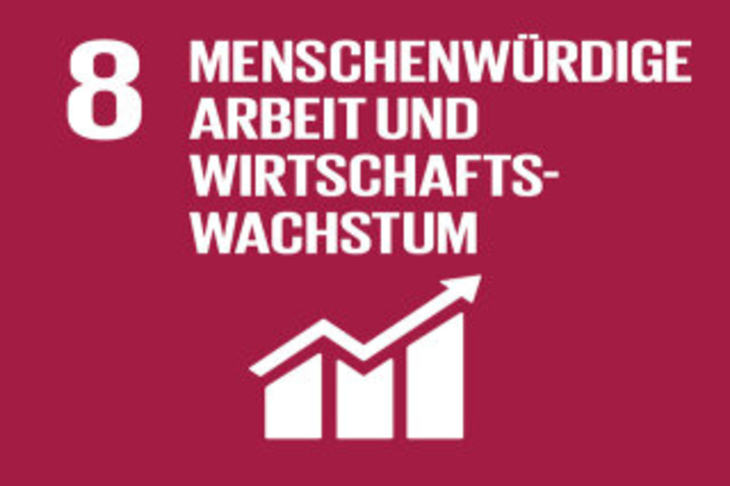 Sustainable Development Goals_icons-EMILIE, Link auf Ziel 8: Menschenwürdige Arbeit und Wirtschaftswachstum
