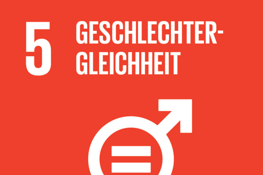 Sustainable Development Goals_icons-EMILIE, Link auf Ziel 5:im Detail