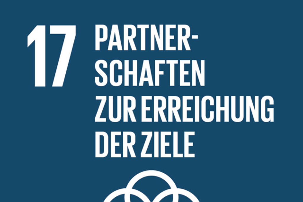 Sustainable Development Goals_icons-EMILIE, Link auf Ziel 17 im Detail 