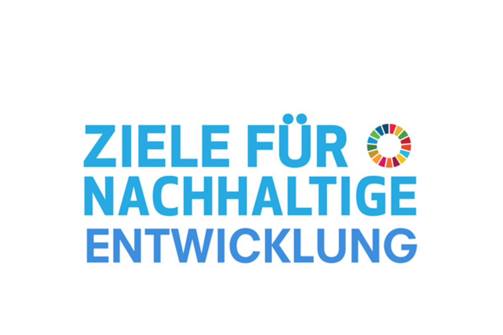 SDG Logo NON UN, Link auf Die 17 nachhaltigen Entwicklungsziele mit ihren Unterzielen und Handlungsempfehlungen