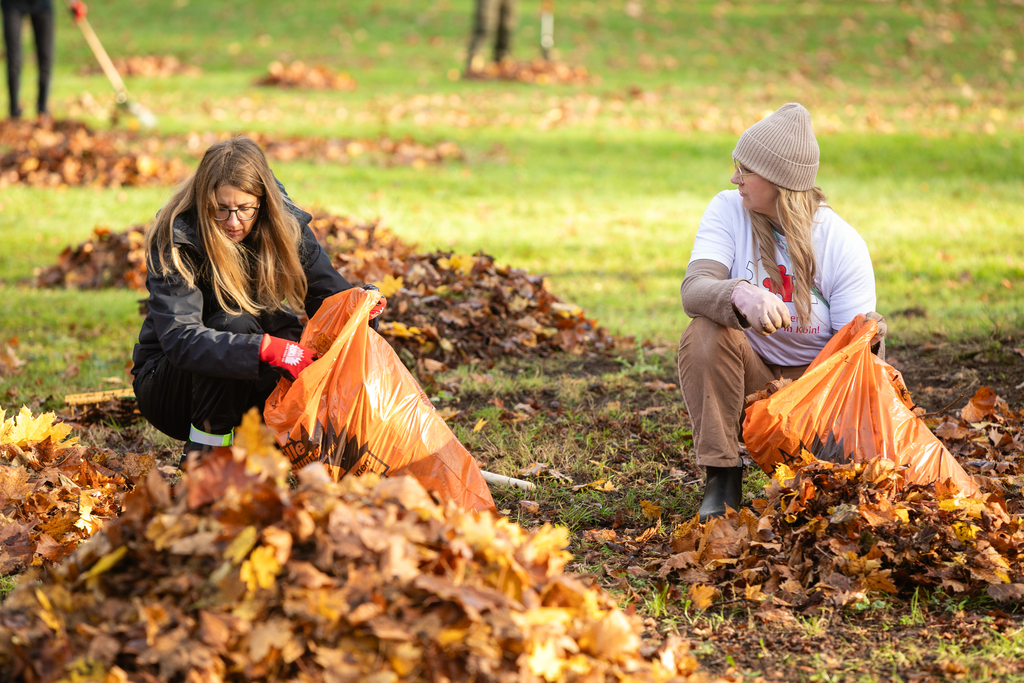 Zwei Frauen sammeln Laub und verfüllen es in orangene Müllbeutel.
