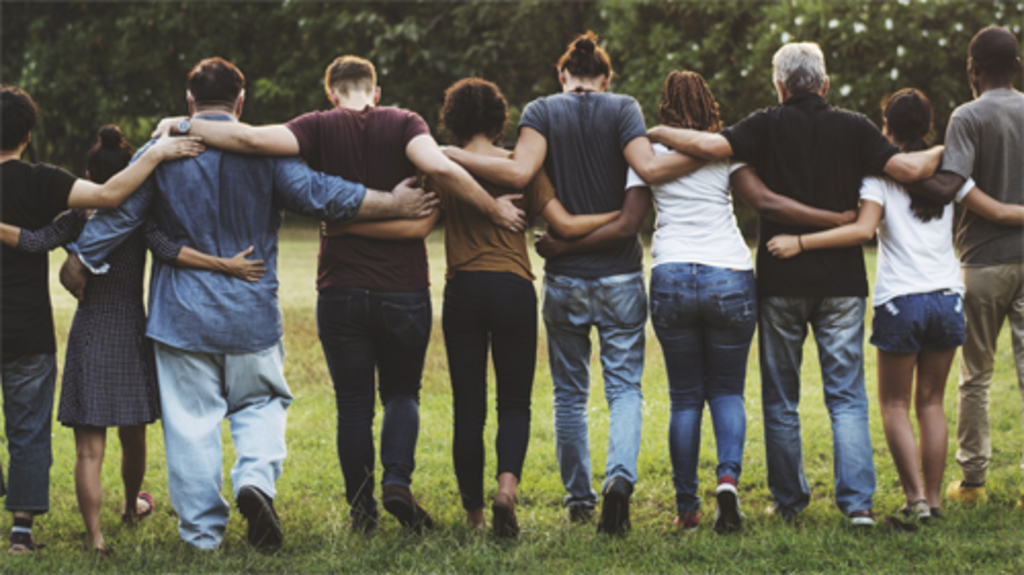 Eine Gruppe von Menschen geht Arm in Arm über eine Wiese, von hinten fotografiert, Link auf Willkommen in der Engagementdatenbank | Engagementdatenbank