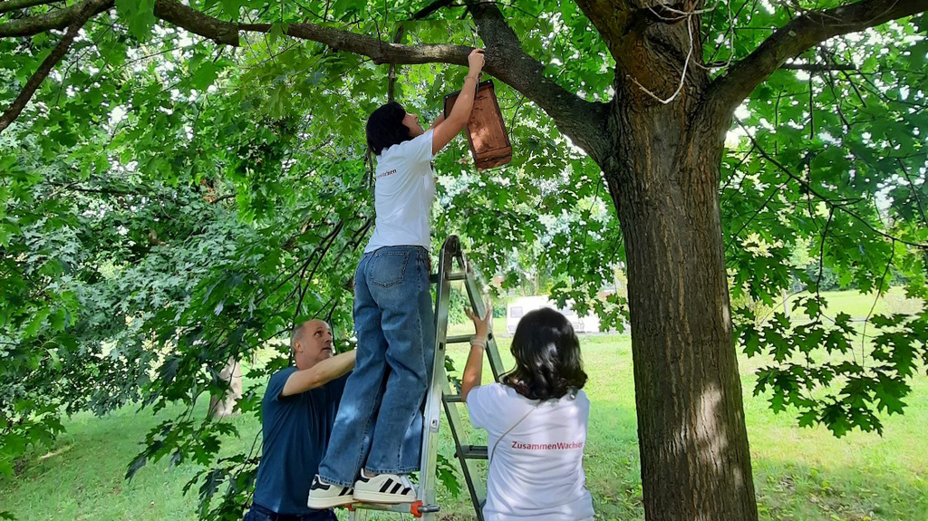 Mitarbeitende der Ströer Gruppe engagieren sich beim Aufhängen von Vogelhäusern