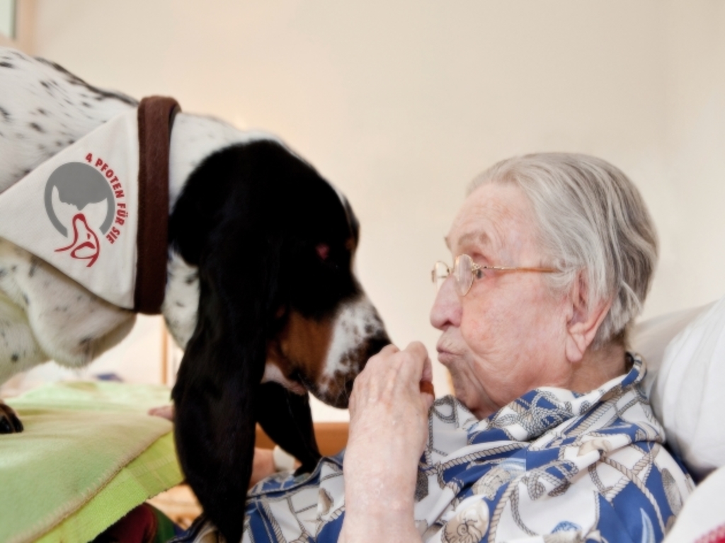 von Angesicht zu Angesicht: ein Hund mit "vier Pfoten für Sie" Halsband in direktem Kontakt mit einer im Bett liegenden Seniorin