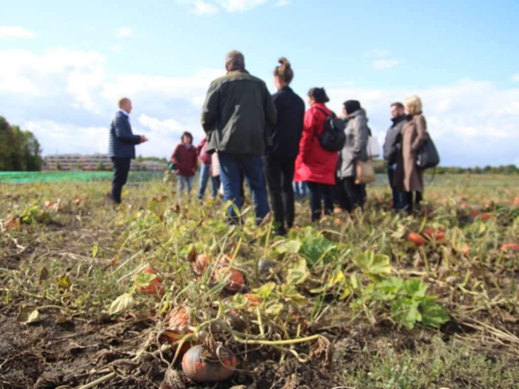 mehrere Personen stehen auf einem Kürbisfeld und hören einem Vortragenden zu