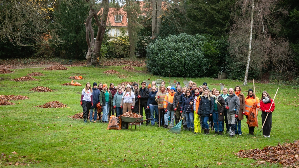 Mehrere Personen stehen zusammen auf einer Wiese. Neben ihnen  sind mehrere zusammengetragene Blätterhaufen zu erkennen., Link auf Unser Unternehmensengagement - Stadt Köln