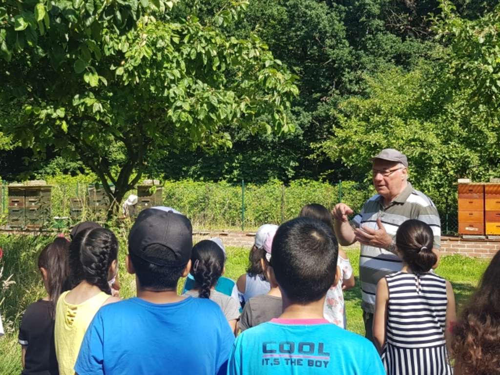 Schülerinnen und Schüler der Grundschule Konrad-Adenauer-Straße erhalten spannende Einblicke in die Natur bei einer Führung in einem Garten.