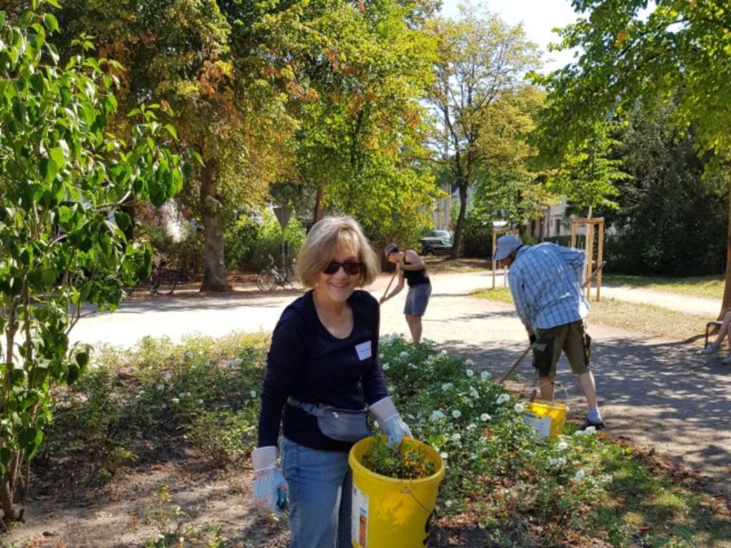 Eine Mitarbeiterin des Rosengartenteams pflegt Rosengarten mit den fleißigen Mitarbeiterinnen und Mitarbeitern der Stadt Köln 