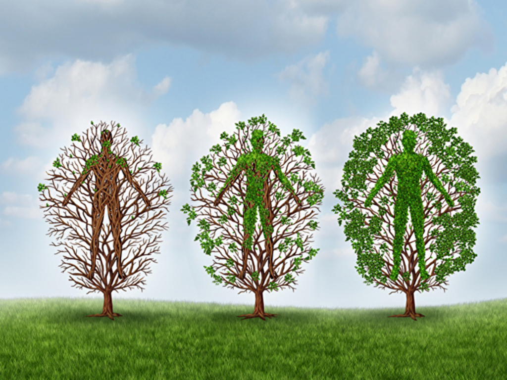 Heil- und Genesungskonzept