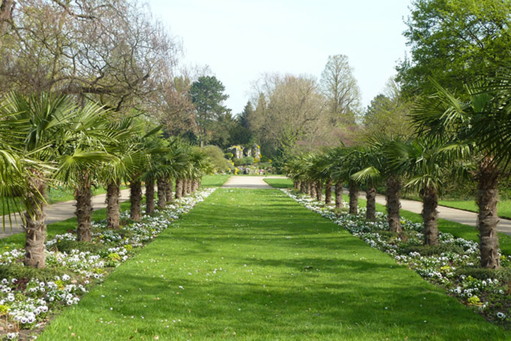Flora und Botanischer Garten, Link auf Planung und Projekte Kölner Grün